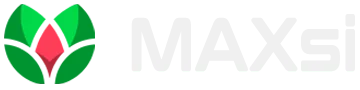logo maxsi 2024 milk